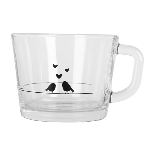 Cana sticla transparenta neagra Pasari 13x10x9 cm / 350 ml