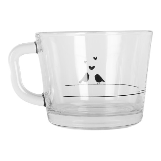 Cana sticla transparenta neagra Pasari 13x10x9 cm / 350 ml