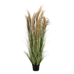 Pampas artificial in ghiveci 80x180 cm