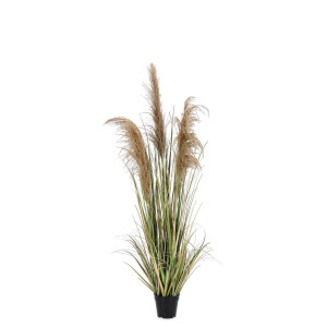 Pampas artificial in ghiveci 55x145 cm
