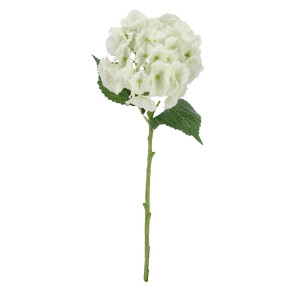 Set 12 Hortensii artificiale albe verzi Ø25x52h
