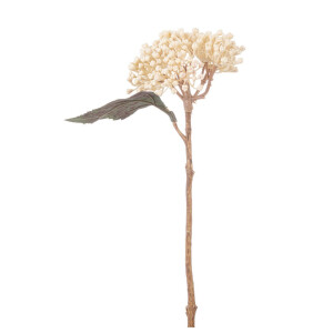 Set 3 Hortensii albe verzi 38h