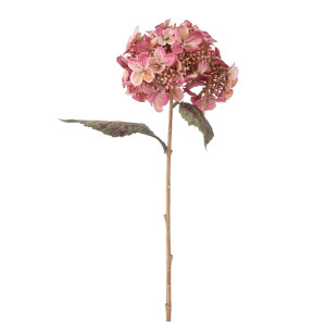 Set 3 Hortensii roz verzi 52h