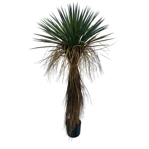 Planta Yucca artificiala in ghiveci 60x60x120h