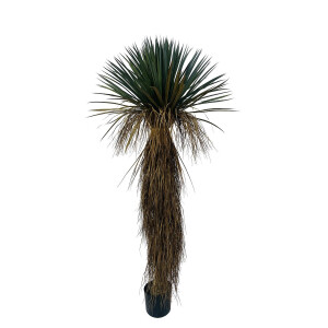 Planta Yucca artificiala in ghiveci 70x70x180h