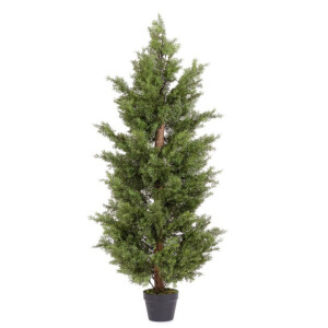 Chiparos artificial in ghiveci 150h