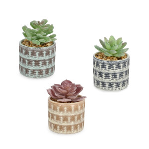 Set 3 plante suculente artificiale in ghiveci ceramica Ø7x11h