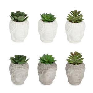 Set 6 plante suculente artificiale in ghiveci ceramica Budha Ø8x12h
