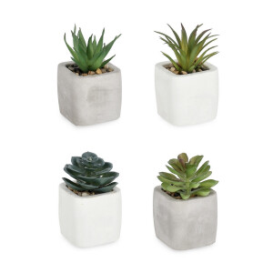 Set 4 plante suculente artificiale in ghiveci ciment 5,5x5,5x10h