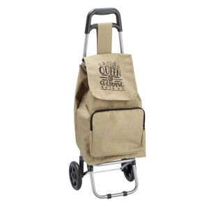 Carucior cu roti pentru cumparaturi 35 x 28 x 95 cm