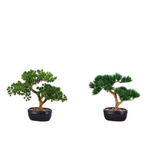 Set 2 Bonsai artificiali in ghiveci  15 x 11 x 26 cm