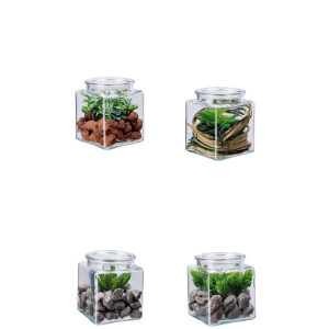 Set 4 plante suculente artificiale in borcan 10 x 10 x 13 cm