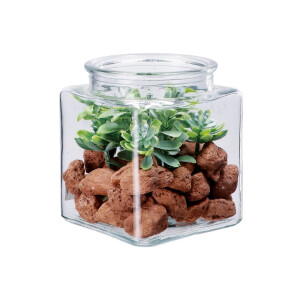 Aranjament plante suculente si piatra 10 x 10 x 13 cm