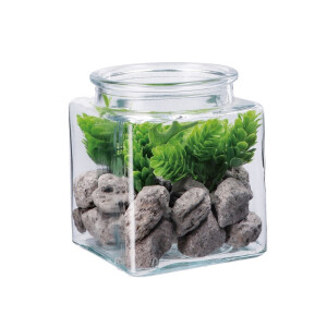 Aranjament plante suculente si piatra IIII 10 x 10 x 13 cm