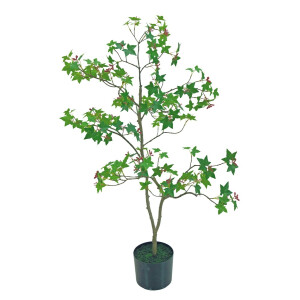 Artar verde in ghiveci  15 x 90 cm