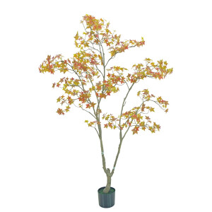 Artar maro in ghiveci 170 cm