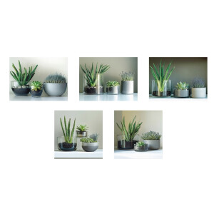 Set 5 tablouri decorative olegrafie pe panza Flowers II 3 x 15 x 20 cm, 2 x 25 x 25 cm