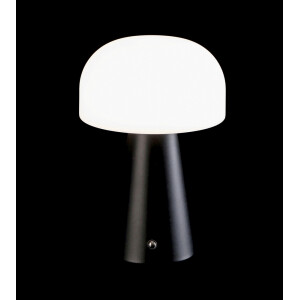 Veioza control tactil, reincarcabila, fier negru plastic alb 15 x 23 cm