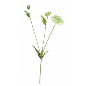 Set 12 flori artificiale albe verzi Scabiosa 51 cm