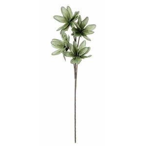 Set 12 flori Magnolia artificiala verde 25x92 cm
