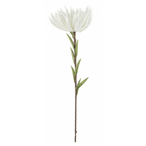 Set 12 flori Crizantema alba verde 24x91 cm