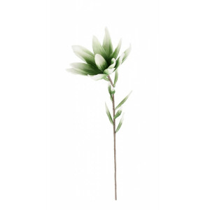 Set 12 flori artificiale verzi albe 20x81 cm