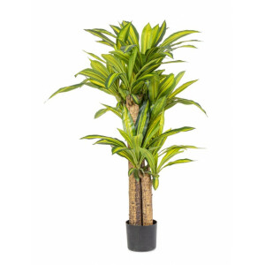 Dracena artificiala in ghiveci 100x130 cm