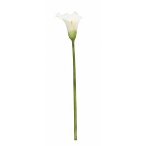 Set 12 Cale artificiale verzi albe 14x21x82 cm