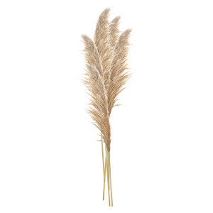 Buchet 5 flori Pampas bej 11x8x142 cm