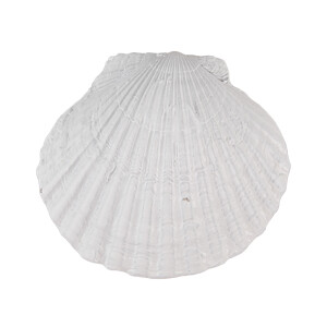 Set 4 manere mobilier polirasina alba Scoica 6x4x6 cm
