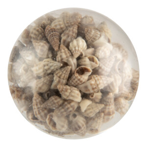 Buton mobilier sticla bej Scoici Ø 5x4 cm / S3 cm