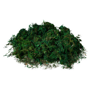 Muschi artificial verde 100 gr