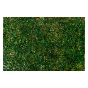 Covoras muschi padure artificial verde 60x40x1 cm