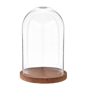 Platou decorativ lemn sticla 17x25 cm