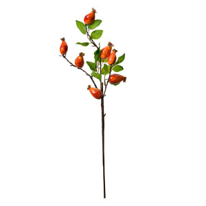 Crenguta fructe padure portocalii verzi 10x8x50 cm