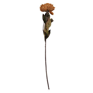 Floare artificiala maro verde 10x10x65 cm