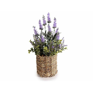 Set 2 flori Lavanda in ghiveci 12x13x38 cm