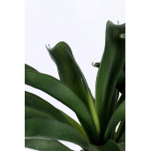 Ananas artificial in ghiveci 53x40x43h