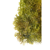 Panou muschi artificial verde 25x25 cm