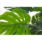 Floare artificiala in ghiveci Philodendron 60 cm x 60 h