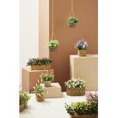 Flori artificiale mov verzi in ghiveci 22.5x8.5x14 cm