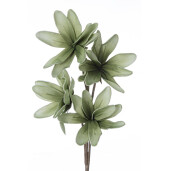 Set 12 Magnolii artificiale verzi 25x92h