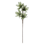 Set 12 Magnolii artificiale verzi 25x92h