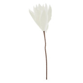 Set 12 flori artificiale albe maro 30x74h