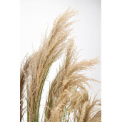 Pampas artificial in ghiveci 80x180 cm
