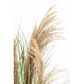 Pampas artificial in ghiveci Ø50x90h