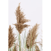 Pampas artificial in ghiveci 90x150 cm
