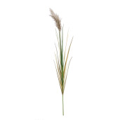 Set 5 Pampas artificial verde maro Ø18x140h