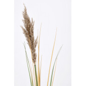 Set 25 flori Pampas artificial 12.7x110 cm