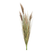 Set 5 Pampas artificial verde maro Ø22,8x100h